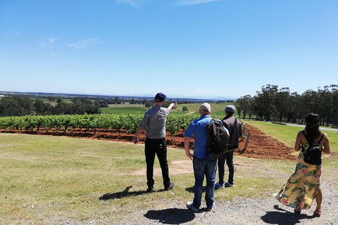 Hunter Valley Private Tour Including Wine, Chocolate, Cheese, Vodka, Gin Tasting - Accommodation Gladstone 13