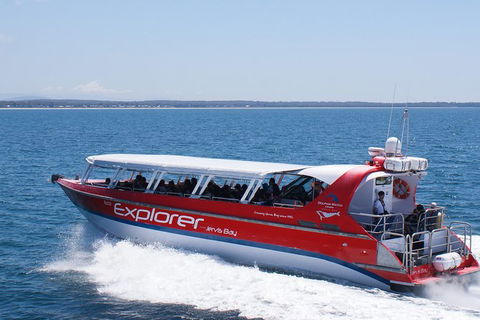 Whale Watching Jervis Bay - Accommodation Gladstone 5