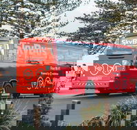 SkyBus Byron Bay Express - Accommodation Gladstone