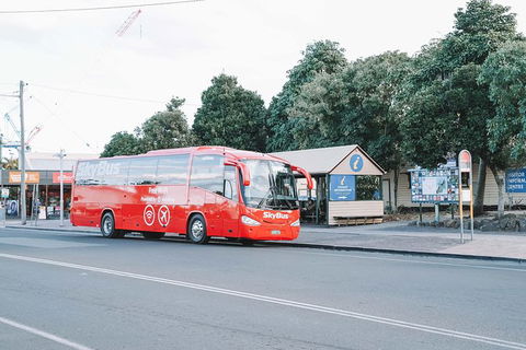 SkyBus Byron Bay Express - Accommodation Gladstone 3