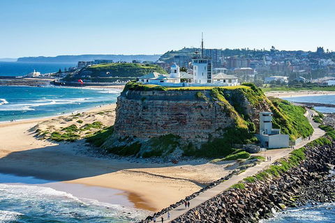 Newcastle And Central Coast Private Shore Excursion | Departs Newcastle Port - Accommodation Gladstone 12