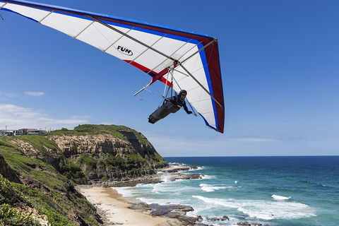 Newcastle And Central Coast Private Shore Excursion | Departs Newcastle Port - Accommodation Gladstone 5
