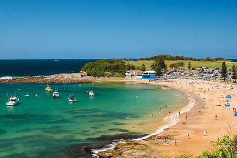 Newcastle And Central Coast Private Shore Excursion | Departs Newcastle Port - Accommodation Gladstone 8