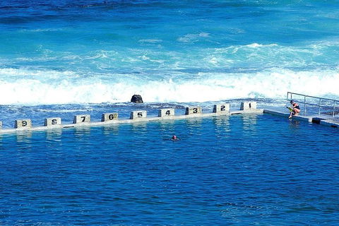Newcastle And Central Coast Private Shore Excursion | Departs Newcastle Port - Accommodation Gladstone 4