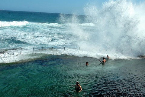Newcastle And Central Coast Private Shore Excursion | Departs Newcastle Port - Accommodation Gladstone 9
