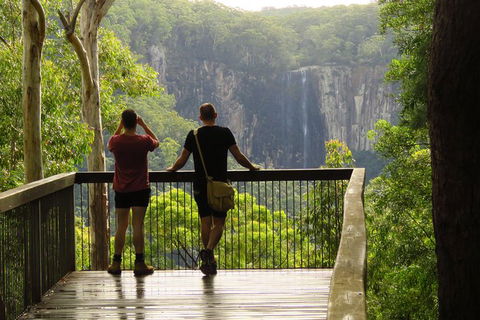 Minyon Falls Rainforest Walk - Accommodation Gladstone 5
