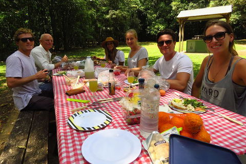 Byron Bay Wildlife Safari - Accommodation Gladstone 8
