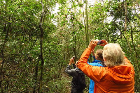 Byron Bay Wildlife Safari - Accommodation Gladstone 12