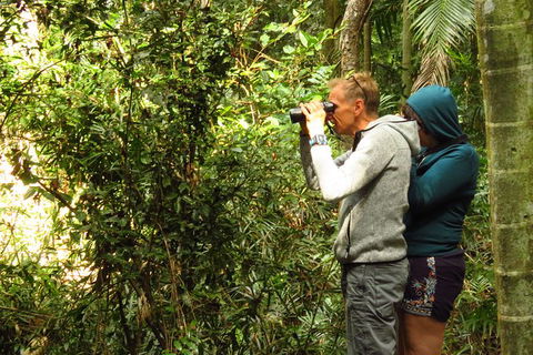 Byron Bay Wildlife Safari - Accommodation Gladstone 10