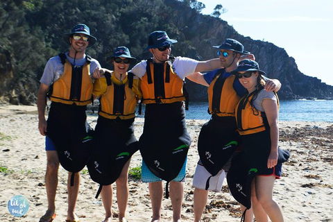Whale Watching By Sea Kayak In Batemans Bay - Accommodation Gladstone 5