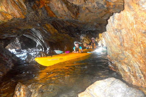 Whale Watching By Sea Kayak In Batemans Bay - Accommodation Gladstone 4