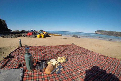 Whale Watching By Sea Kayak In Batemans Bay - Accommodation Gladstone 6