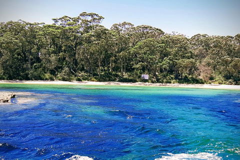 Jervis Bay Passage Tour - Accommodation Gladstone 1