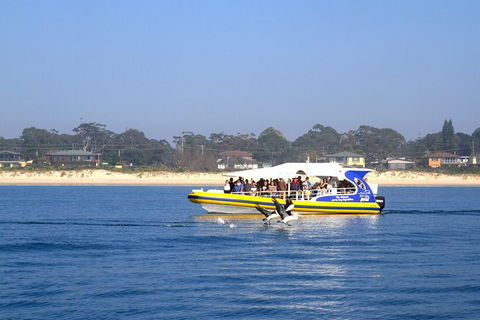 Jervis Bay Passage Tour - Accommodation Gladstone 16