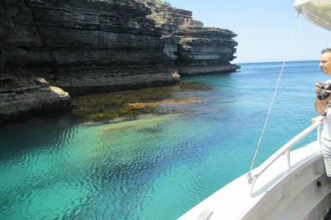 Jervis Bay Passage Tour - Accommodation Gladstone 14