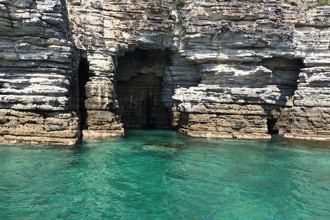 Jervis Bay Passage Tour - Accommodation Gladstone 13