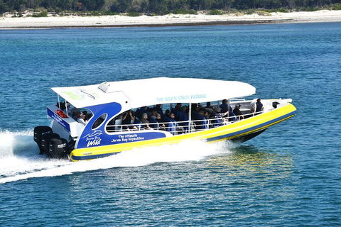 Jervis Bay Passage Tour - Accommodation Gladstone 11
