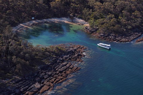 Jervis Bay Passage Tour - Accommodation Gladstone 9