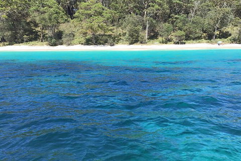 Jervis Bay Passage Tour - Accommodation Gladstone 5