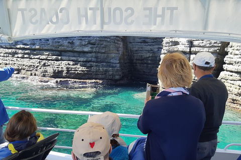 Jervis Bay Passage Tour - Accommodation Gladstone 7