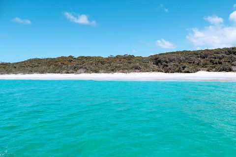 Jervis Bay Passage Tour - Accommodation Gladstone 10