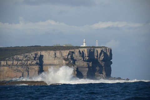 Jervis Bay Passage Tour - Accommodation Gladstone 8