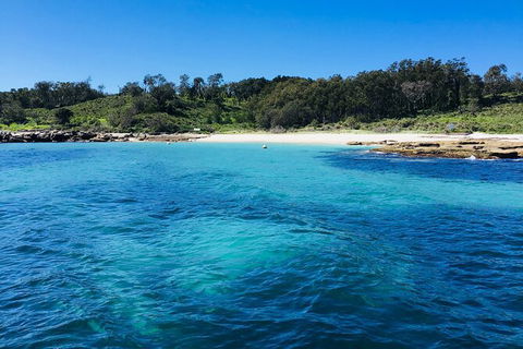 Jervis Bay Passage Tour - Accommodation Gladstone 2