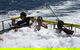 Jervis Bay Boom Netting And Dolphins Tour - thumb 9