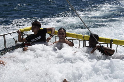 Jervis Bay Boom Netting And Dolphins Tour - Accommodation Gladstone 9