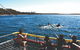 Jervis Bay Boom Netting And Dolphins Tour - thumb 2