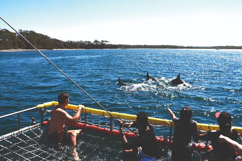 Jervis Bay Boom Netting And Dolphins Tour - Accommodation Gladstone 2