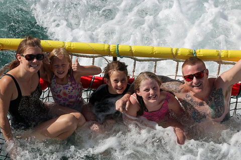 Jervis Bay Boom Netting And Dolphins Tour - Accommodation Gladstone 11