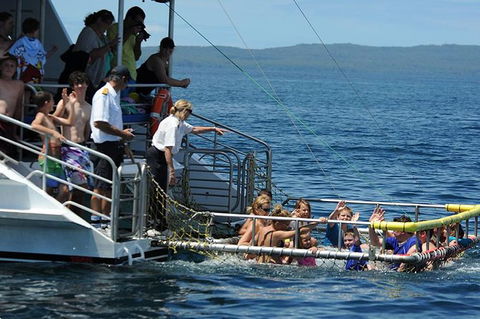 Jervis Bay Boom Netting And Dolphins Tour - Accommodation Gladstone 5