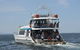 Jervis Bay Boom Netting And Dolphins Tour - thumb 12