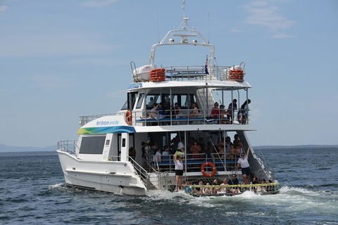 Jervis Bay Boom Netting And Dolphins Tour - Accommodation Gladstone 12