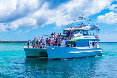 Jervis Bay Boom Netting And Dolphins Tour - Accommodation Gladstone 3