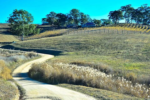 Private Blue Mountains And Winery Day-Trip From Sydney - Accommodation Gladstone 7