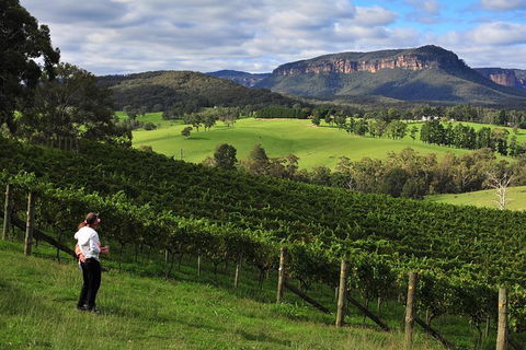Private Blue Mountains And Winery Day-Trip From Sydney - Accommodation Gladstone 5