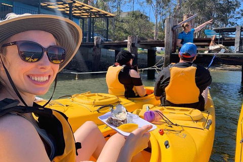 Batemans Bay Oyster Tasting Kayak Tour - Accommodation Gladstone 6