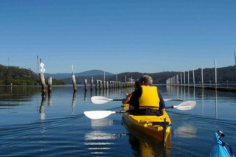 Batemans Bay Oyster Tasting Kayak Tour - Accommodation Gladstone 7