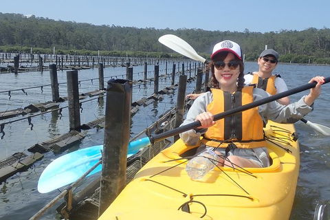 Batemans Bay Oyster Tasting Kayak Tour - Accommodation Gladstone 5