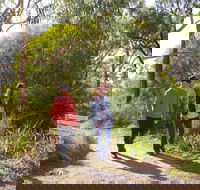 Arthurs Seat Circuit Walk - Accommodation Gladstone