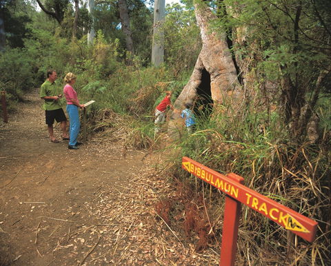 Bibbulmun Track - Accommodation Gladstone 1