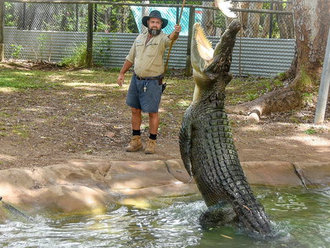 Billabong Sanctuary - Accommodation Gladstone 1