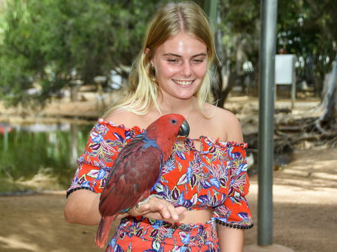 Billabong Sanctuary - Accommodation Gladstone 2