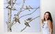 Bingara Gallery - thumb 0