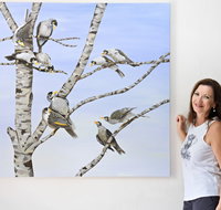 Bingara Gallery - Accommodation Gladstone