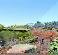 Bladensburg National Park - Accommodation Gladstone