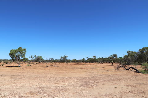 Bladensburg National Park - Accommodation Gladstone 1