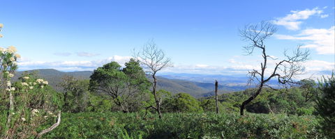 Blue Range Camping And Picnic Area - Accommodation Gladstone 0